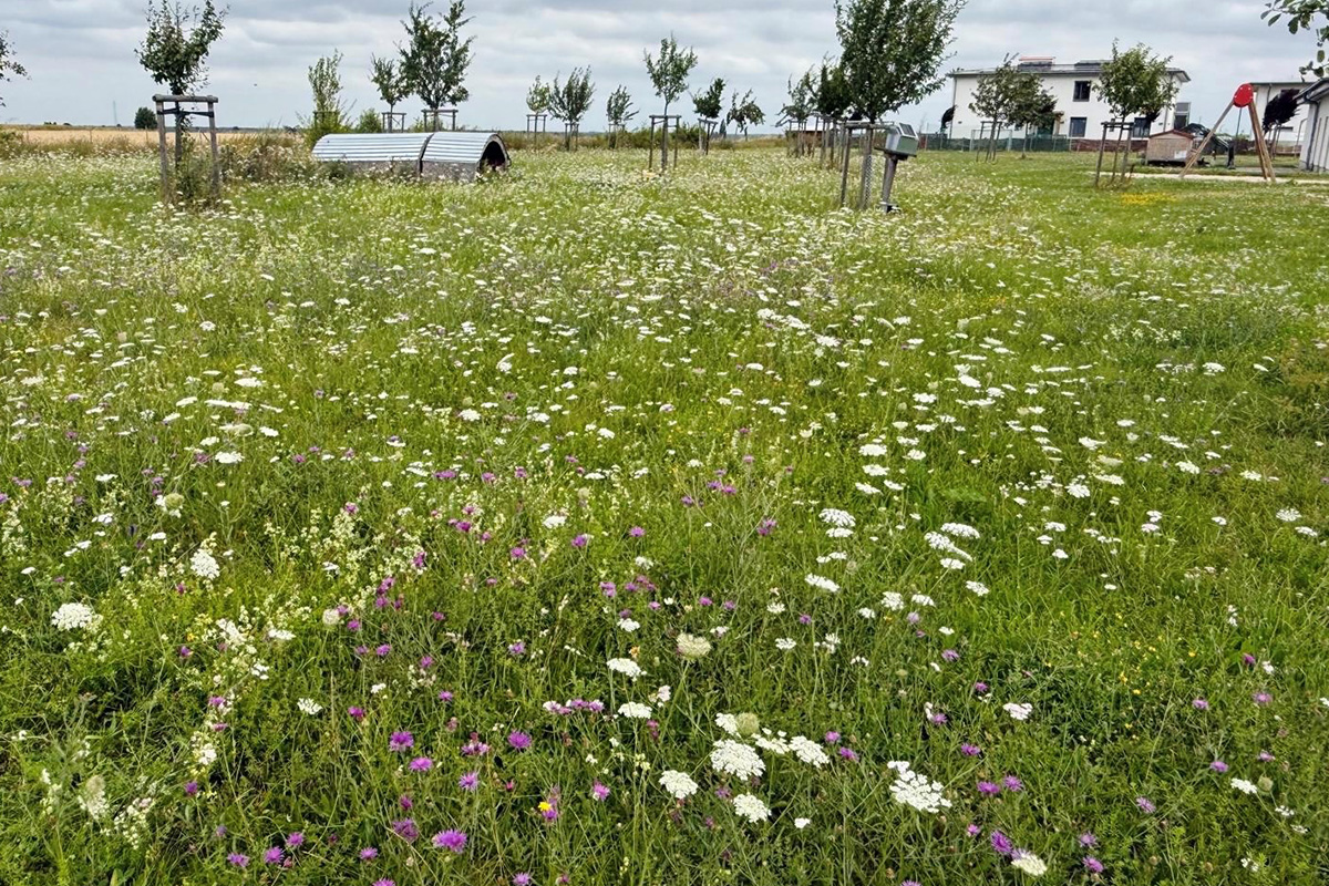 Warum das Sommerglück manchmal ganz nah ist