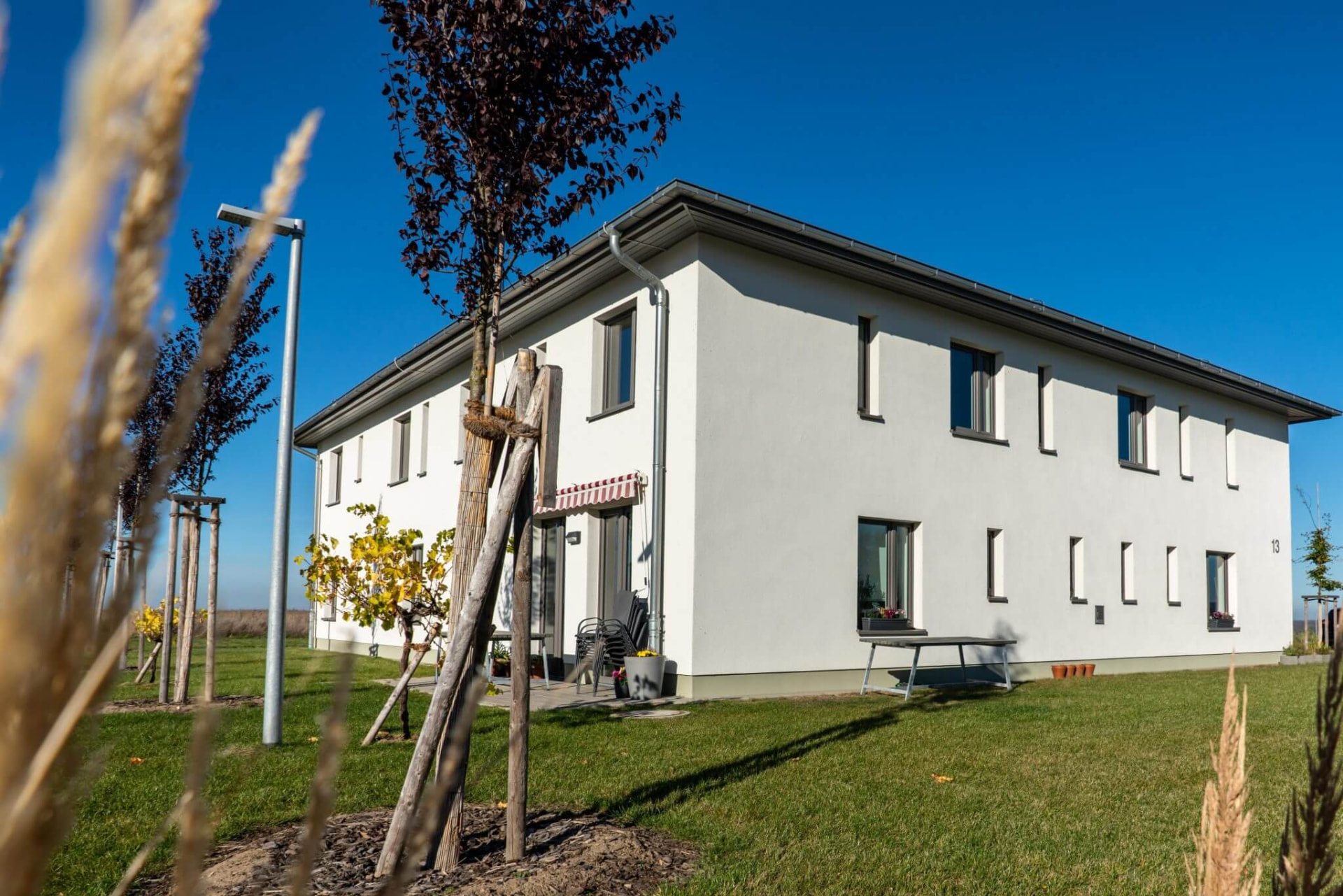 Modernes weißes Wohnhaus mit Terrasse, umgeben von Rasen und jungen Bäumen.