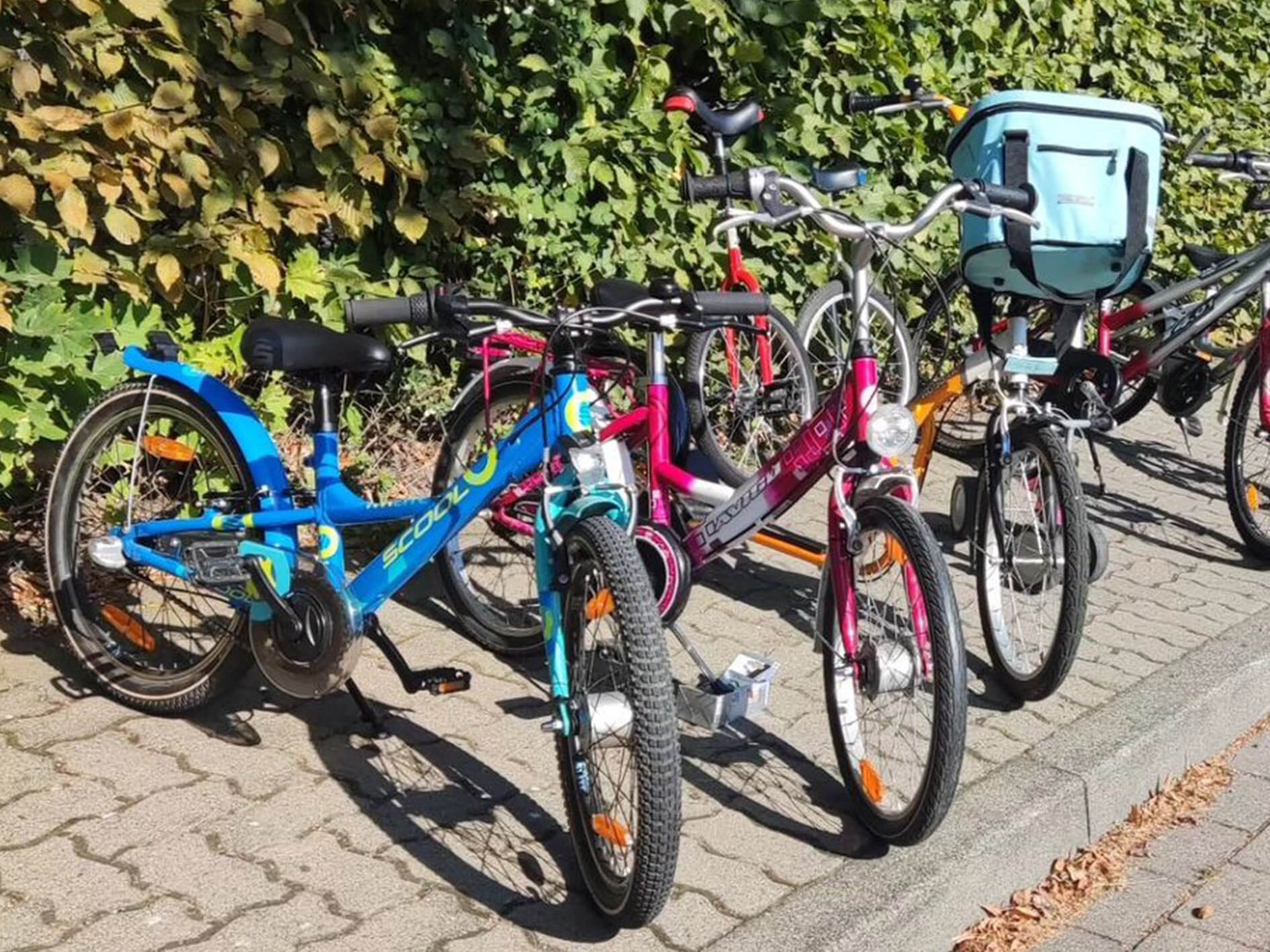 Eine Gruppe von Fahrrädern, die am Straßenrand geparkt sind.