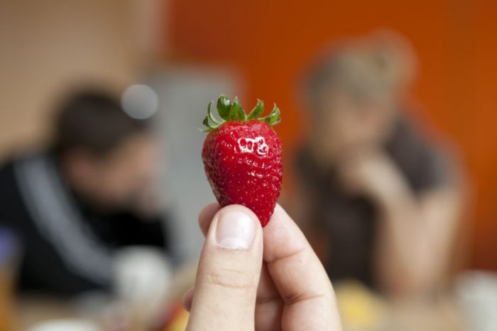 Qualität — Erdbeere in der Hand