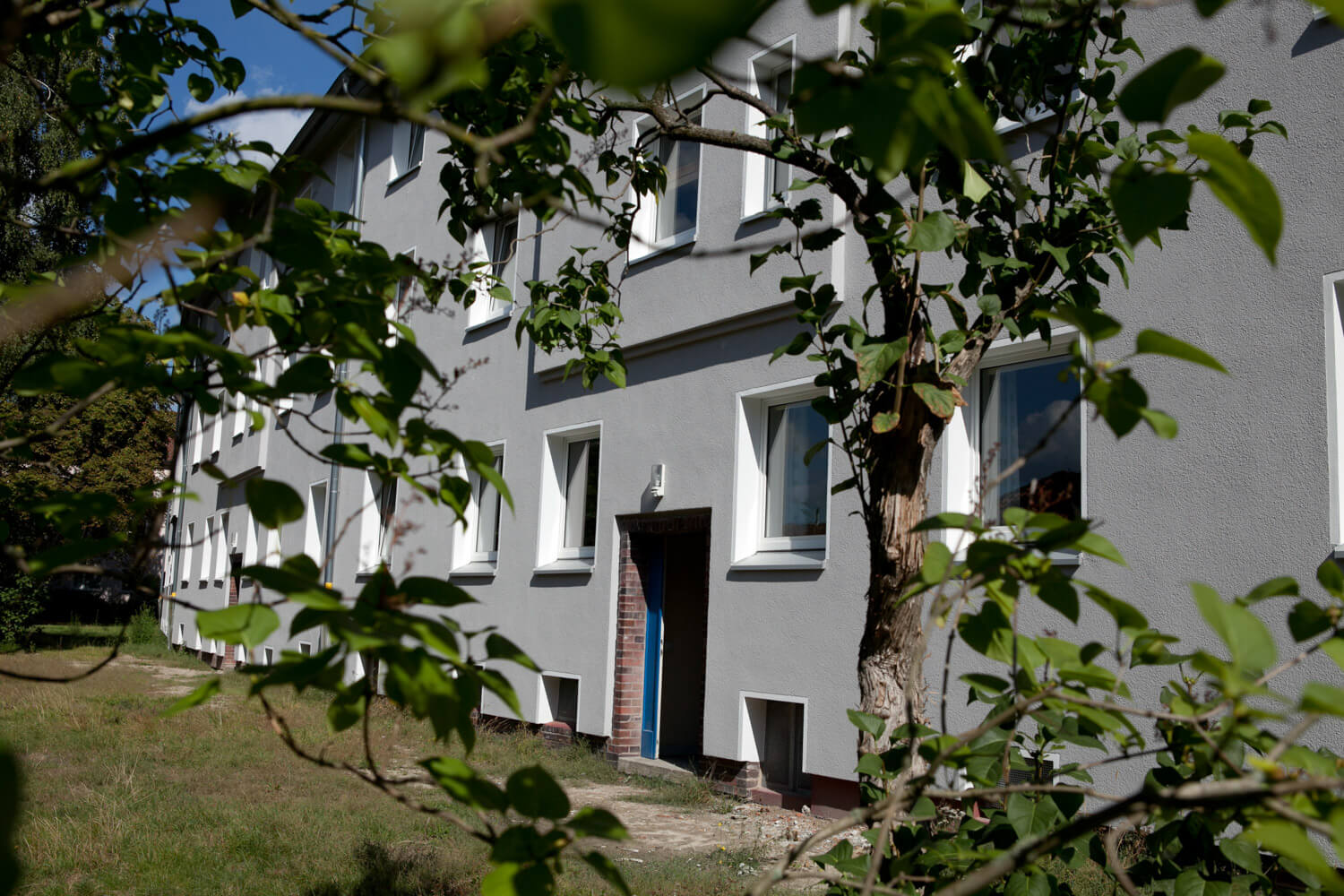 Graues Mehrfamilienhaus mit weißen Fensterrahmen, im Vordergrund die Zweige eines Baums.
